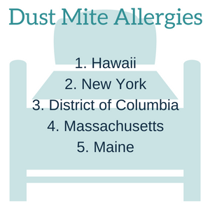 Common Allergies in the US and How to Combat Them | SaveOnEnergy